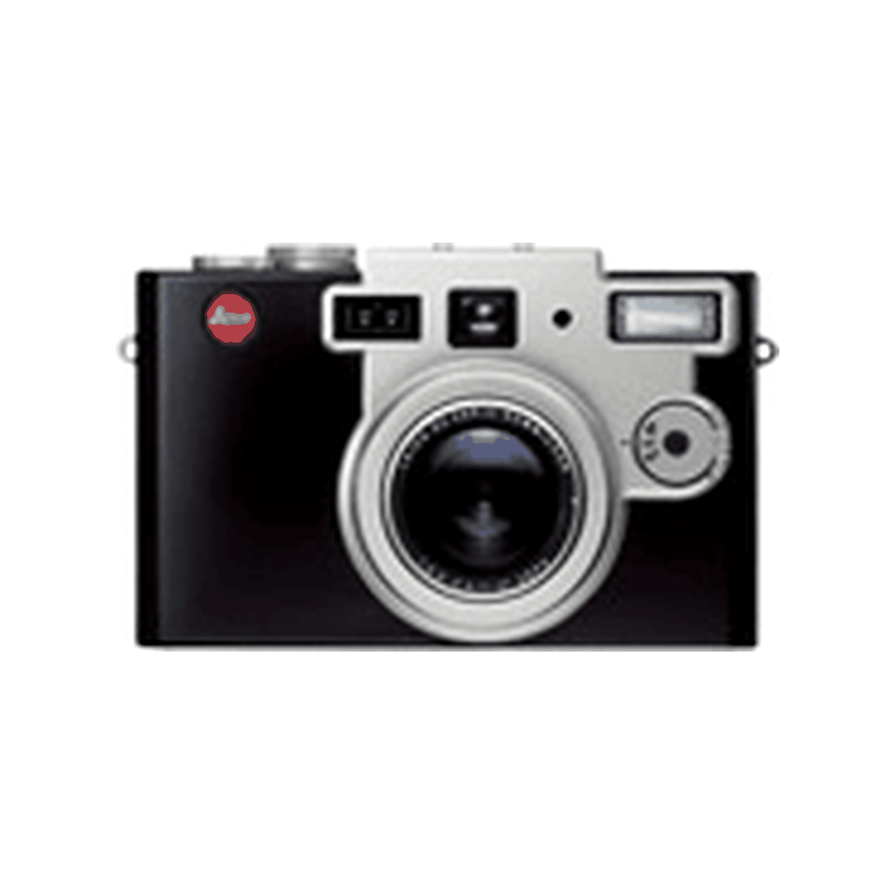 Archive illustration for Leica Digilux 1
