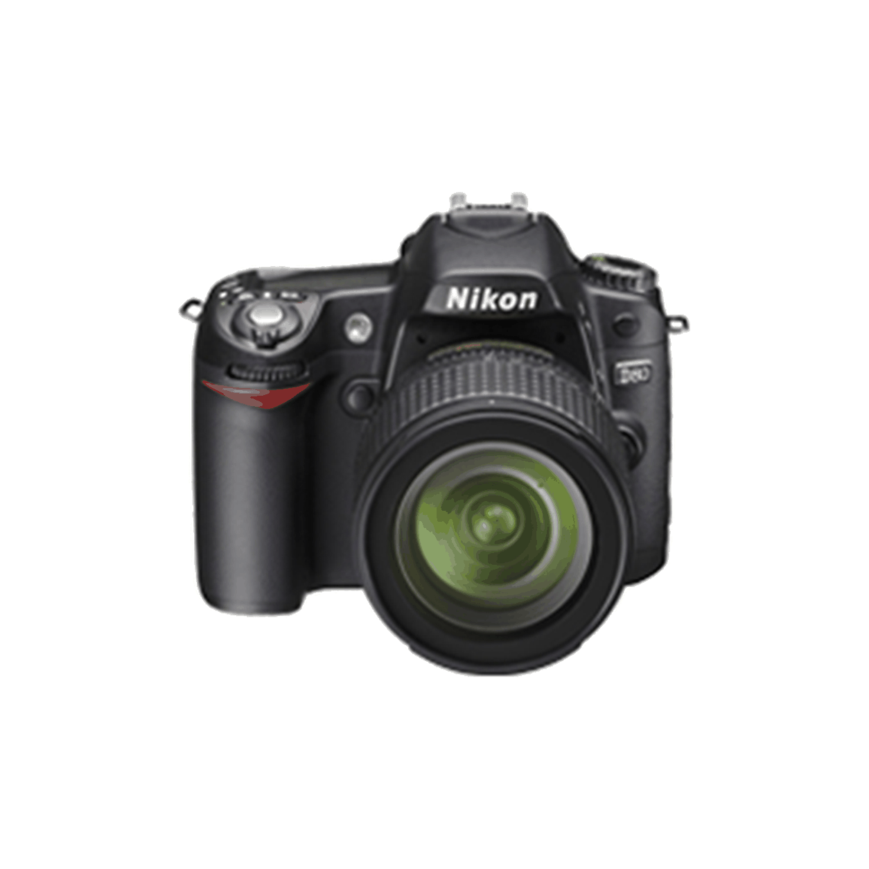 Archive illustration for Nikon D80