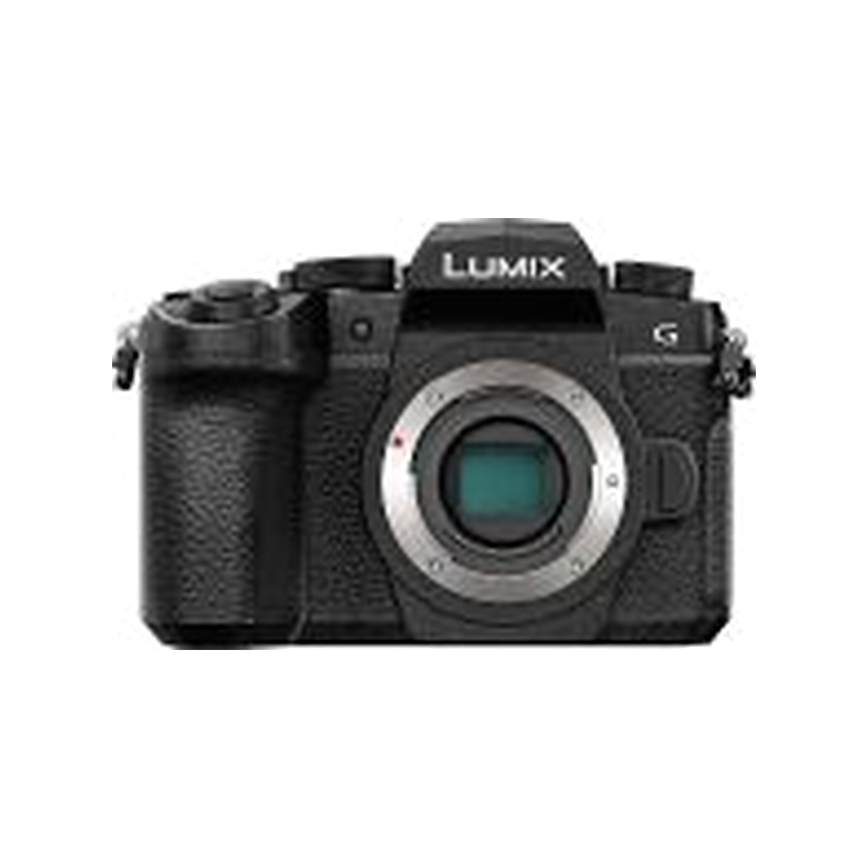 Archive illustration for Panasonic Lumix DC-G95