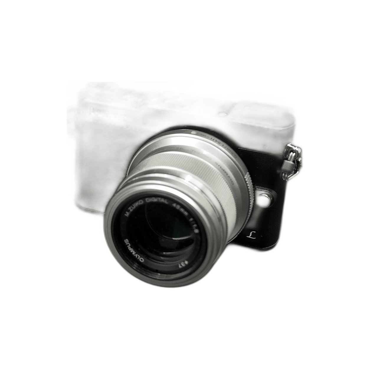Archive illustration for Panasonic Lumix DMC-GM5