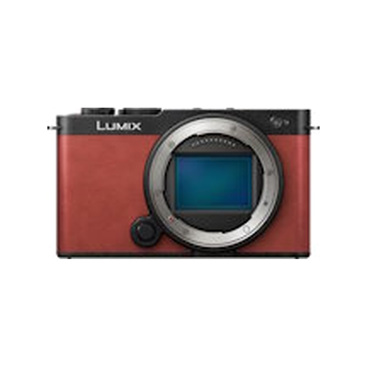 Archive illustration for Panasonic Lumix S9