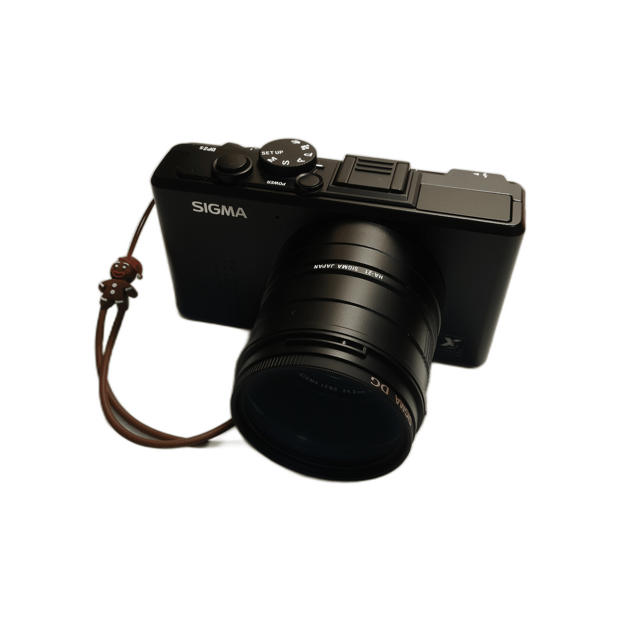 Archive illustration for Sigma DP2s