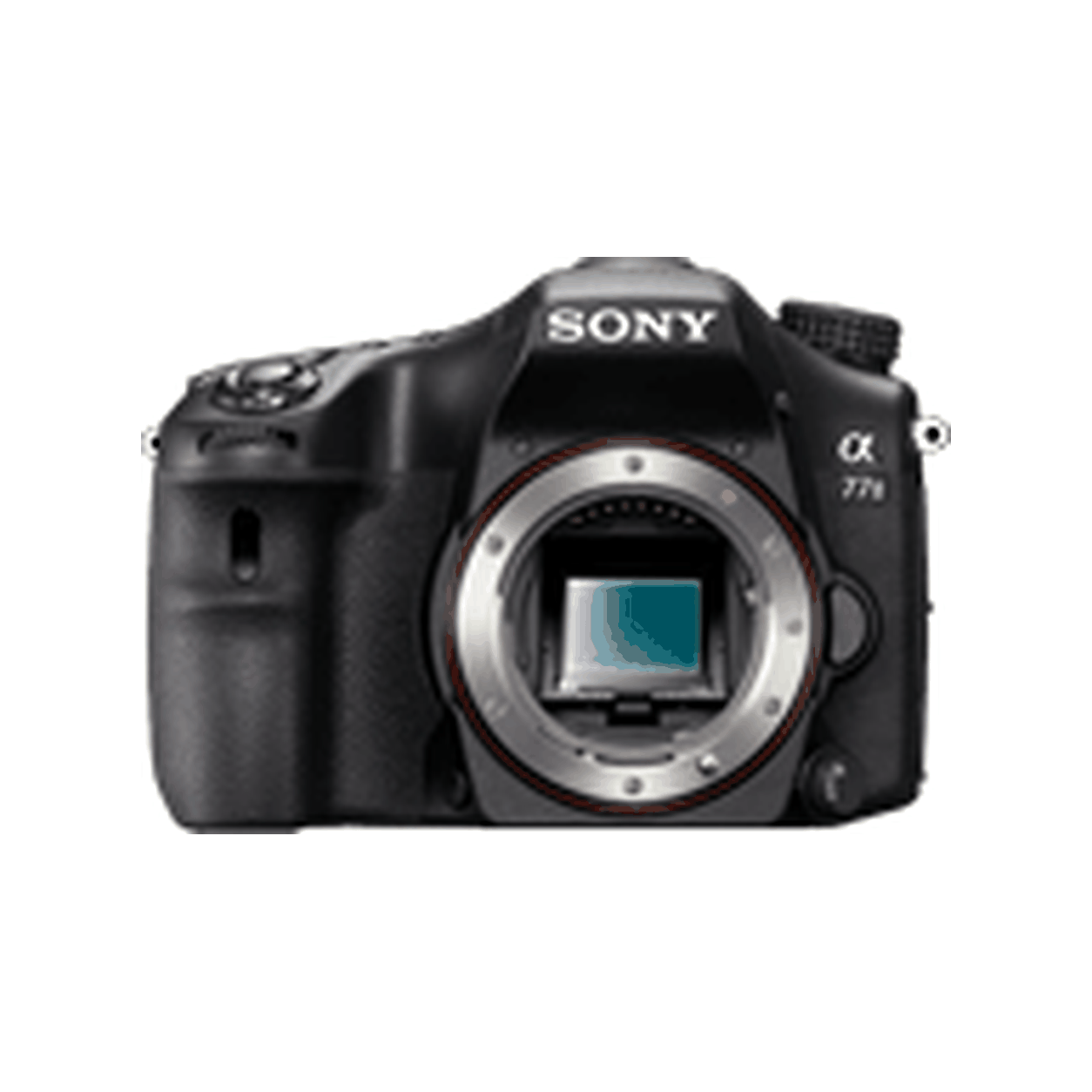 Archive illustration for Sony Alpha SLT-A77 II