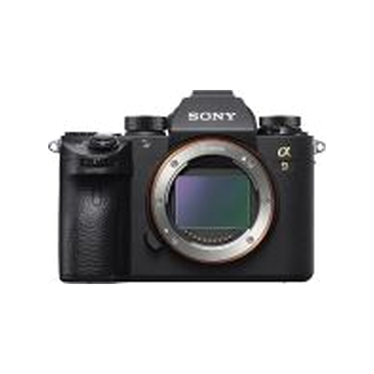 Archive illustration for Sony Alpha a9