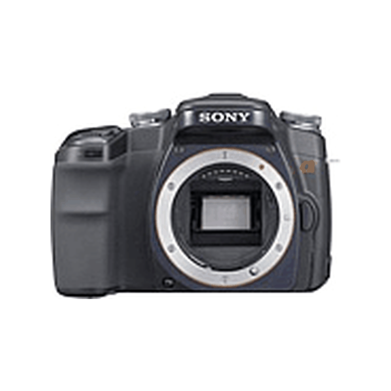 Archive illustration for Sony Alpha DSLR-A100